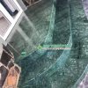 ốp bậc cấp đá marble xanh Napoli