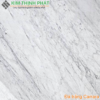 carrara marble trắng